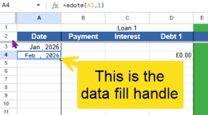 Snippet showing the data fill handle